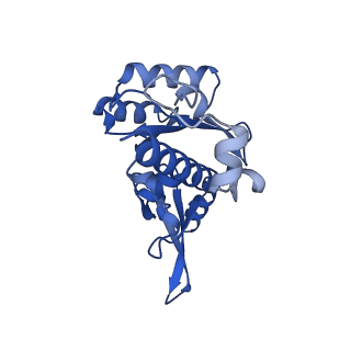 16840_8of0_E_v1-2
Structure of the mammalian Pol II-SPT6-Elongin complex, Structure 1