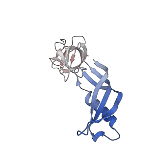 16840_8of0_G_v1-2
Structure of the mammalian Pol II-SPT6-Elongin complex, Structure 1