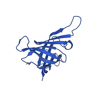 16840_8of0_H_v1-2
Structure of the mammalian Pol II-SPT6-Elongin complex, Structure 1