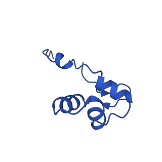 16840_8of0_J_v1-2
Structure of the mammalian Pol II-SPT6-Elongin complex, Structure 1
