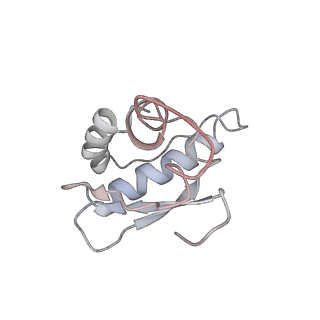 16840_8of0_O_v1-2
Structure of the mammalian Pol II-SPT6-Elongin complex, Structure 1
