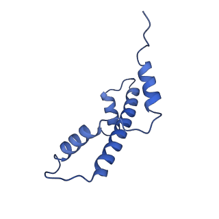 16845_8of4_A_v1-0
Nucleosome Bound human SIRT6 (Composite)
