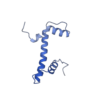 16845_8of4_B_v1-0
Nucleosome Bound human SIRT6 (Composite)