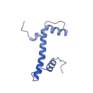 16845_8of4_B_v1-1
Nucleosome Bound human SIRT6 (Composite)