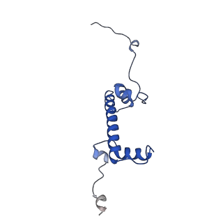 16845_8of4_C_v1-0
Nucleosome Bound human SIRT6 (Composite)
