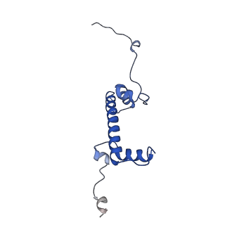 16845_8of4_C_v1-1
Nucleosome Bound human SIRT6 (Composite)