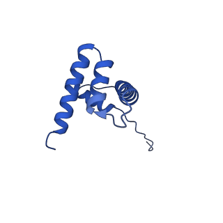16845_8of4_D_v1-0
Nucleosome Bound human SIRT6 (Composite)