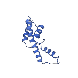 16845_8of4_E_v1-0
Nucleosome Bound human SIRT6 (Composite)