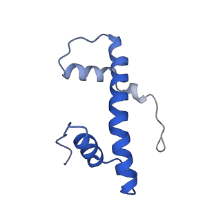 16845_8of4_F_v1-0
Nucleosome Bound human SIRT6 (Composite)