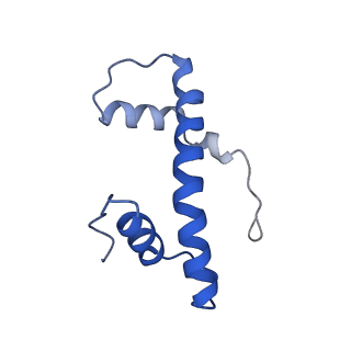 16845_8of4_F_v1-1
Nucleosome Bound human SIRT6 (Composite)