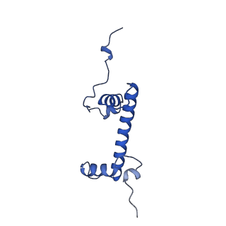 16845_8of4_G_v1-0
Nucleosome Bound human SIRT6 (Composite)