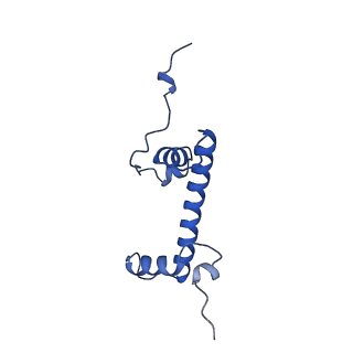 16845_8of4_G_v1-1
Nucleosome Bound human SIRT6 (Composite)