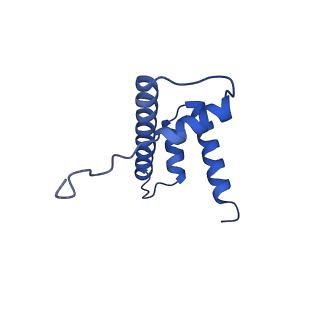 16845_8of4_H_v1-0
Nucleosome Bound human SIRT6 (Composite)