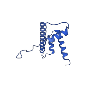 16845_8of4_H_v1-1
Nucleosome Bound human SIRT6 (Composite)