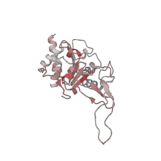 16845_8of4_L_v1-0
Nucleosome Bound human SIRT6 (Composite)