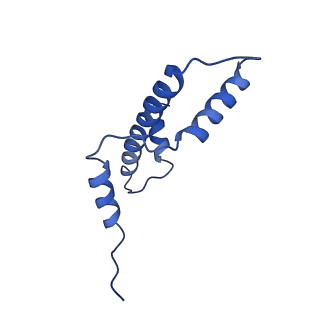 16859_8off_Ca_v1-2
Structure of BARD1 ARD-BRCTs in complex with H2AKc15ub nucleosomes (Map1)