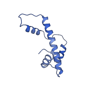 16859_8off_Cb_v1-2
Structure of BARD1 ARD-BRCTs in complex with H2AKc15ub nucleosomes (Map1)