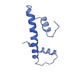 16859_8off_Da_v1-2
Structure of BARD1 ARD-BRCTs in complex with H2AKc15ub nucleosomes (Map1)