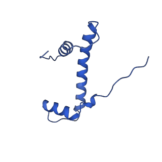 16859_8off_Db_v1-2
Structure of BARD1 ARD-BRCTs in complex with H2AKc15ub nucleosomes (Map1)