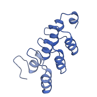 16859_8off_Ea_v1-2
Structure of BARD1 ARD-BRCTs in complex with H2AKc15ub nucleosomes (Map1)