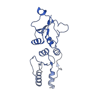 16859_8off_Eb_v1-2
Structure of BARD1 ARD-BRCTs in complex with H2AKc15ub nucleosomes (Map1)