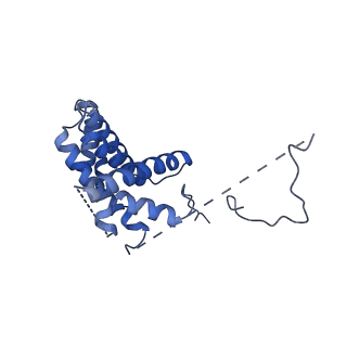 20040_6of2_A_v1-3
Precursor ribosomal RNA processing complex, State 2.