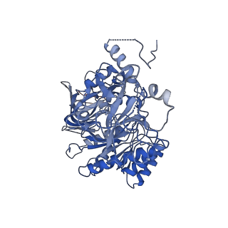 20040_6of2_E_v1-2
Precursor ribosomal RNA processing complex, State 2.