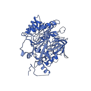 20041_6of3_B_v1-2
Precursor ribosomal RNA processing complex, State 1.