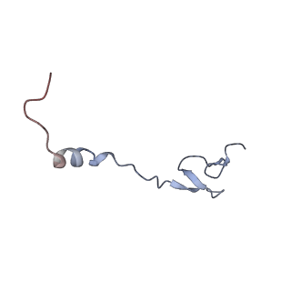 20048_6ofx_B_v1-2
Non-rotated ribosome (Structure I)