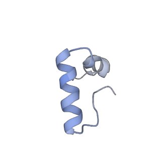 20048_6ofx_D_v1-1
Non-rotated ribosome (Structure I)