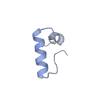 20048_6ofx_D_v1-2
Non-rotated ribosome (Structure I)