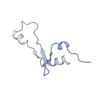 20048_6ofx_E_v1-1
Non-rotated ribosome (Structure I)