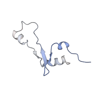 20048_6ofx_E_v1-2
Non-rotated ribosome (Structure I)