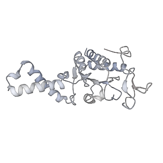 20048_6ofx_G_v1-1
Non-rotated ribosome (Structure I)