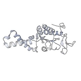 20048_6ofx_G_v1-2
Non-rotated ribosome (Structure I)