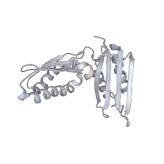 20048_6ofx_H_v1-1
Non-rotated ribosome (Structure I)