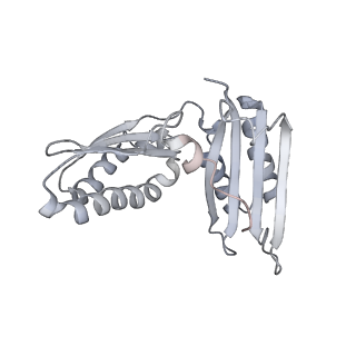 20048_6ofx_H_v1-2
Non-rotated ribosome (Structure I)