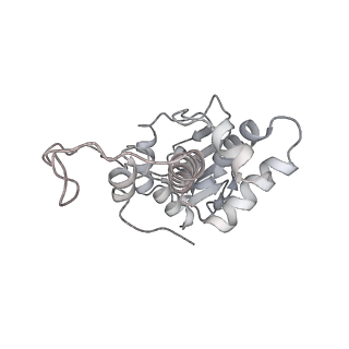 20048_6ofx_I_v1-1
Non-rotated ribosome (Structure I)