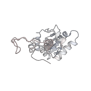 20048_6ofx_I_v1-2
Non-rotated ribosome (Structure I)