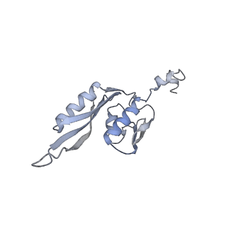 20048_6ofx_J_v1-1
Non-rotated ribosome (Structure I)