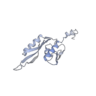 20048_6ofx_J_v1-2
Non-rotated ribosome (Structure I)