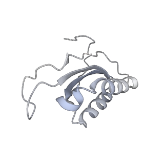 20048_6ofx_K_v1-1
Non-rotated ribosome (Structure I)