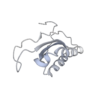 20048_6ofx_K_v1-2
Non-rotated ribosome (Structure I)