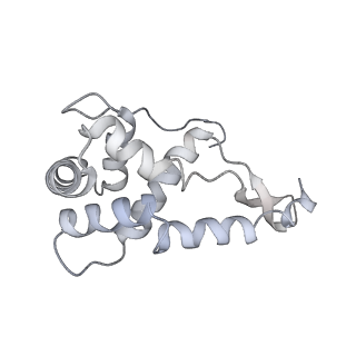 20048_6ofx_L_v1-1
Non-rotated ribosome (Structure I)