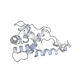 20048_6ofx_L_v1-2
Non-rotated ribosome (Structure I)