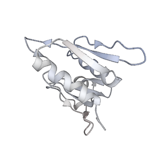 20048_6ofx_M_v1-1
Non-rotated ribosome (Structure I)