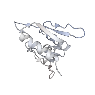 20048_6ofx_M_v1-2
Non-rotated ribosome (Structure I)