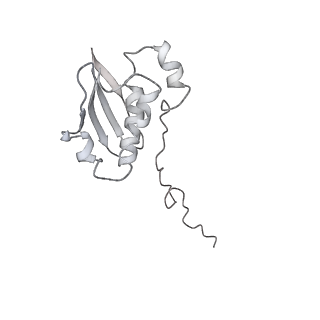 20048_6ofx_N_v1-1
Non-rotated ribosome (Structure I)
