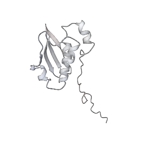 20048_6ofx_N_v1-2
Non-rotated ribosome (Structure I)