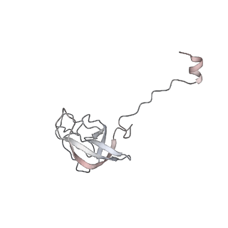 20048_6ofx_Q_v1-1
Non-rotated ribosome (Structure I)